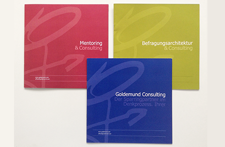 Agnes Schubert Grafik Design Heinz Goldemund Consulting Folder